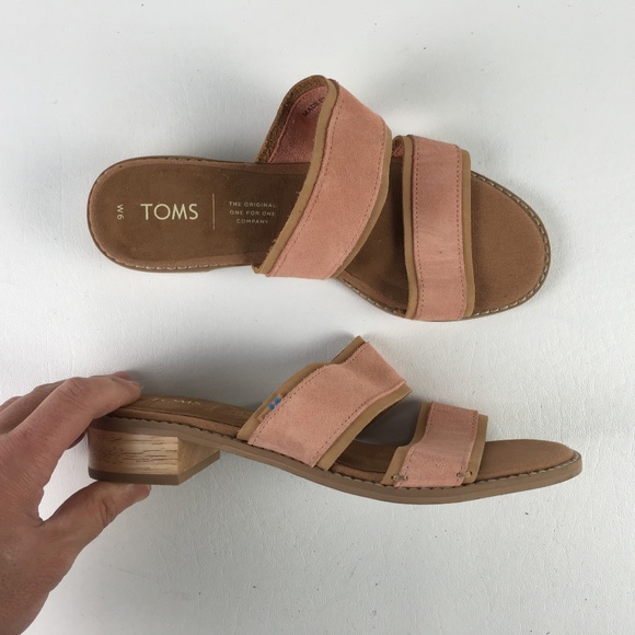 toms mariposa